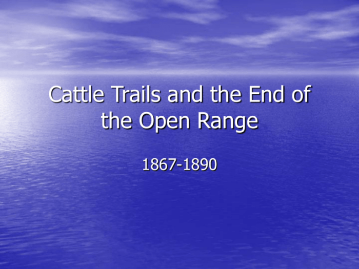 Trace the history of the development of the cattle trails