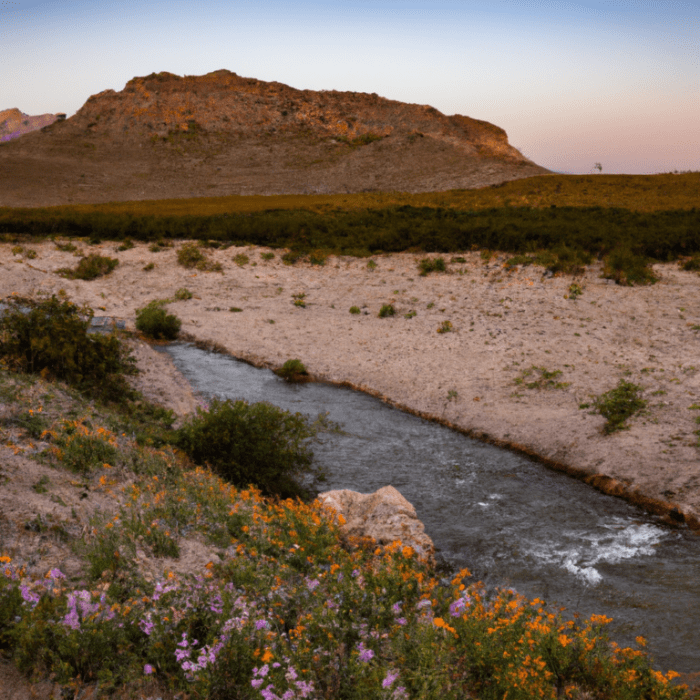 Facts about mountains and basins region of texas