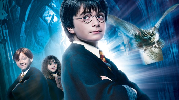 Harry potter and the philosopher's stone chapter 1