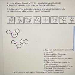 Dna rna comparing part exclusively nucleic solved occurs transcribed text