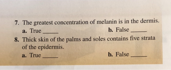 The greatest concentration of melanin is in the dermis