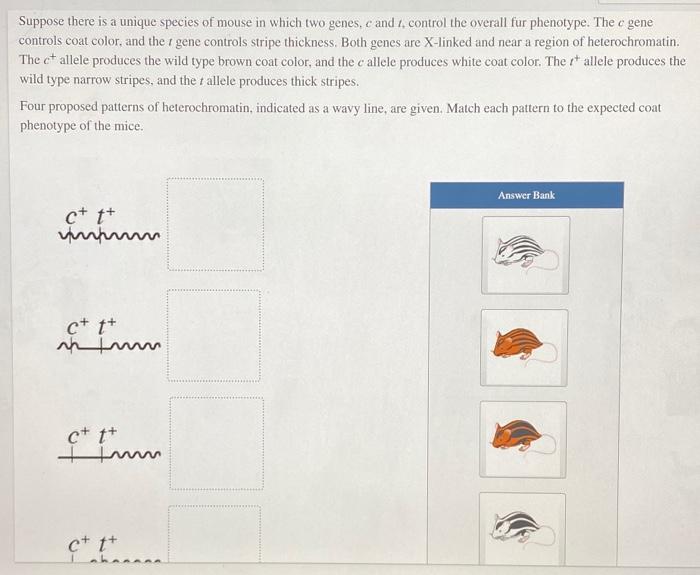 Frequencies allele polymorphisms studied genotype