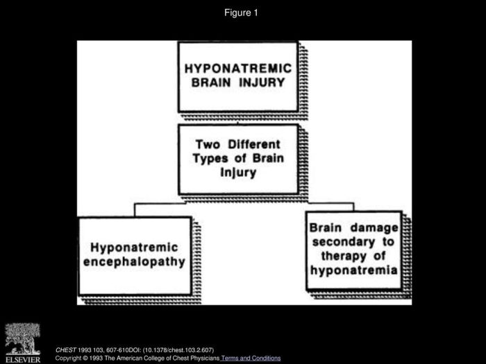 Hyponatremia true differential algorithm osmolality low sodium urine na normal kidney standard should high foamed comment