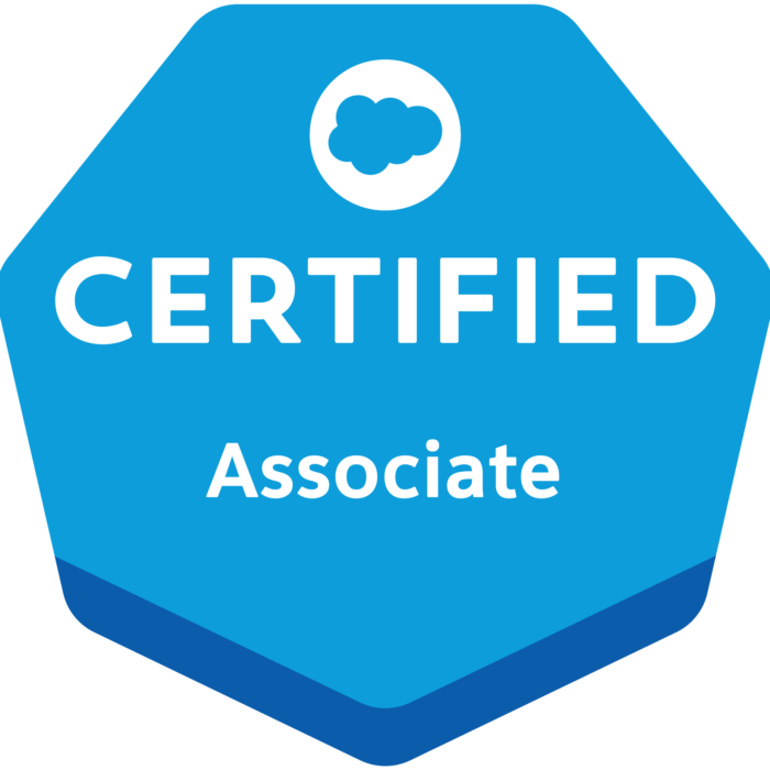 Salesforce associate exam practice questions