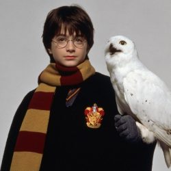 Harry potter and the philosopher's stone chapter 1