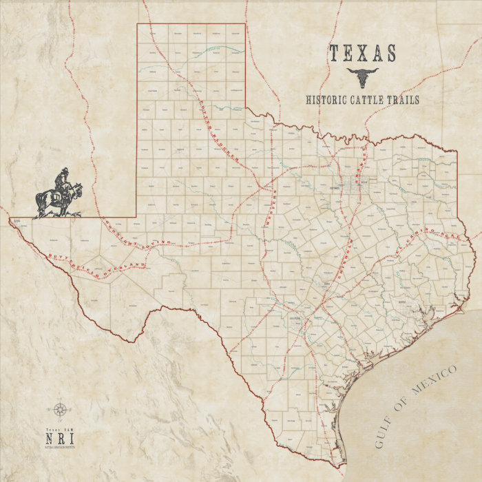 Trace the history of the development of the cattle trails