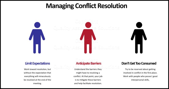 How is the conflict between the twins resolved