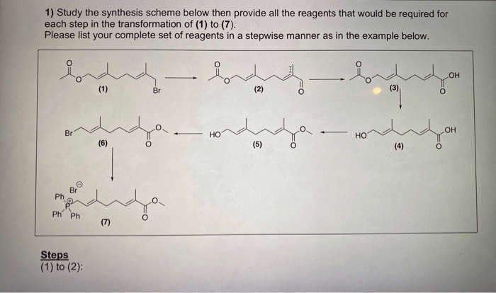 Step 5 put it all together and devise a synthesis