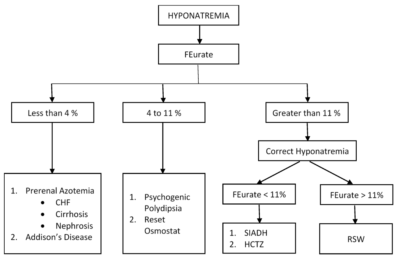 How is brain tissue different from other tissues during hyponatremia