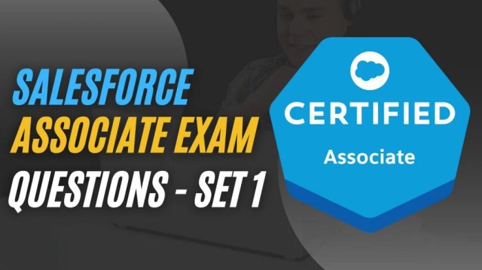 Salesforce associate exam practice questions